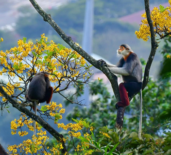 About of Asia Private Travels