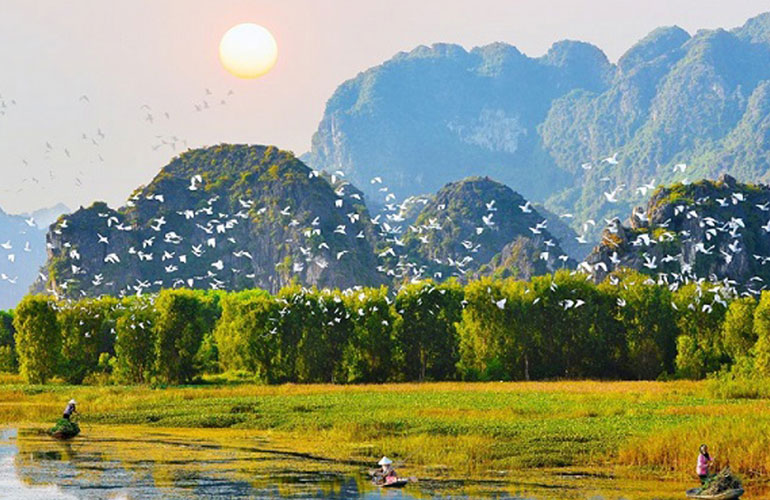 Explore Van Long Nature Reserve