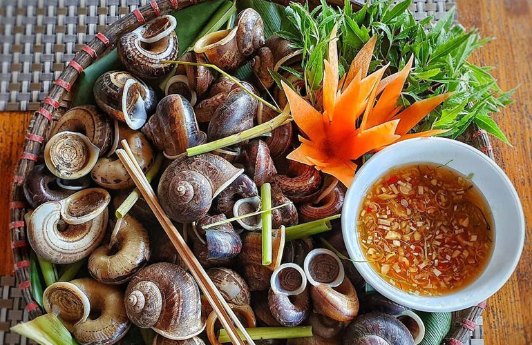 Enjoy Mountain snail