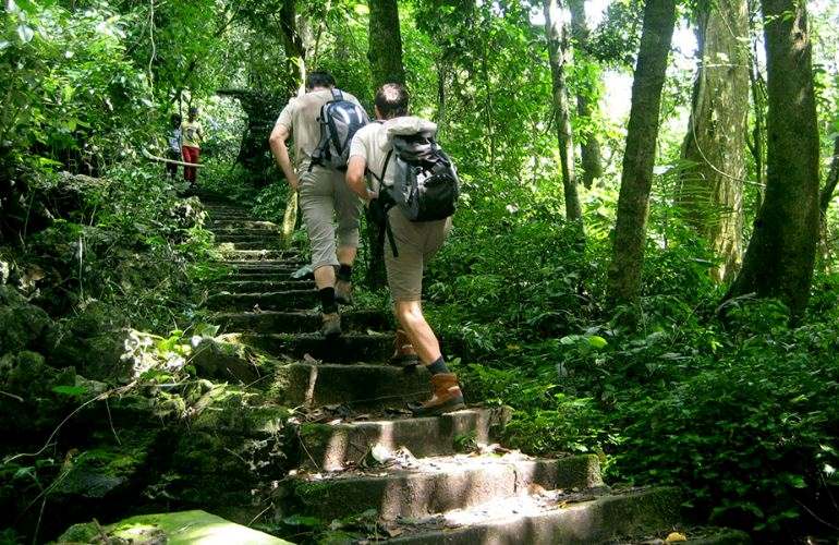 Explore Cuc Phuong National Park to admire the beauty of nature