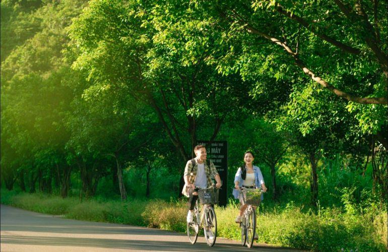 Take a bike tour Ninh Binh