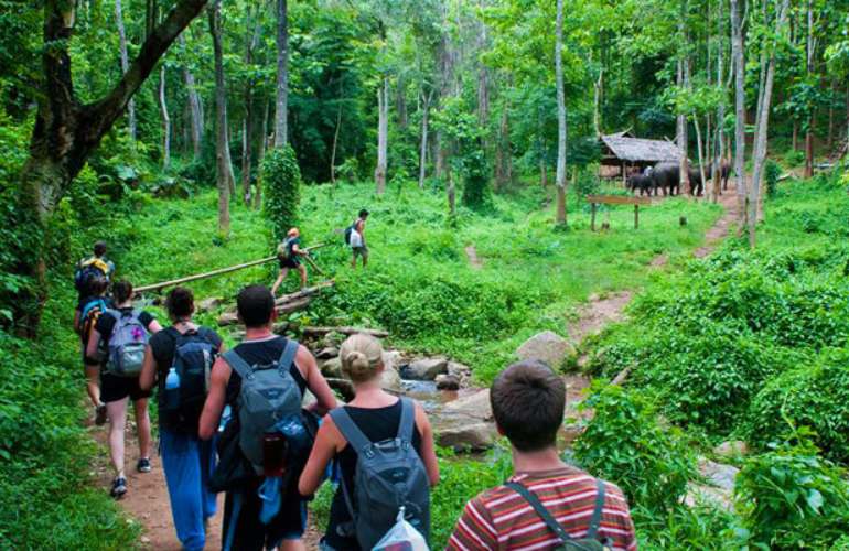 Cuc Phuong National Park in Ninh Binh 