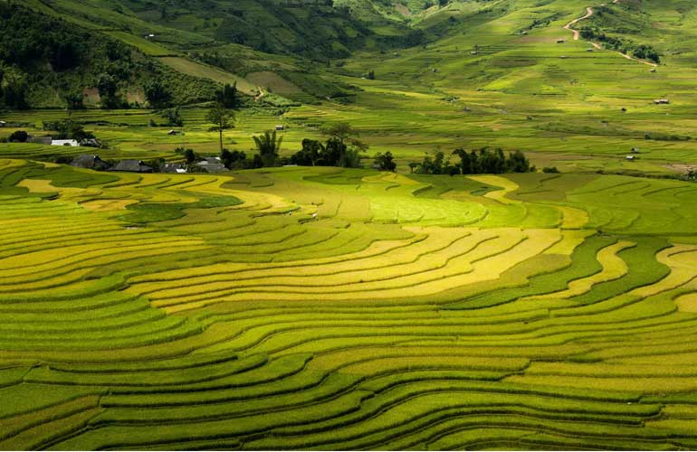 Trekking explore Sapa