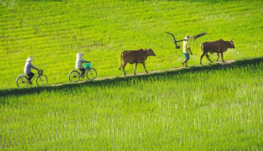 The Lost Civilization: Saigon - Siem Reap 7 Nights (High - water Season)