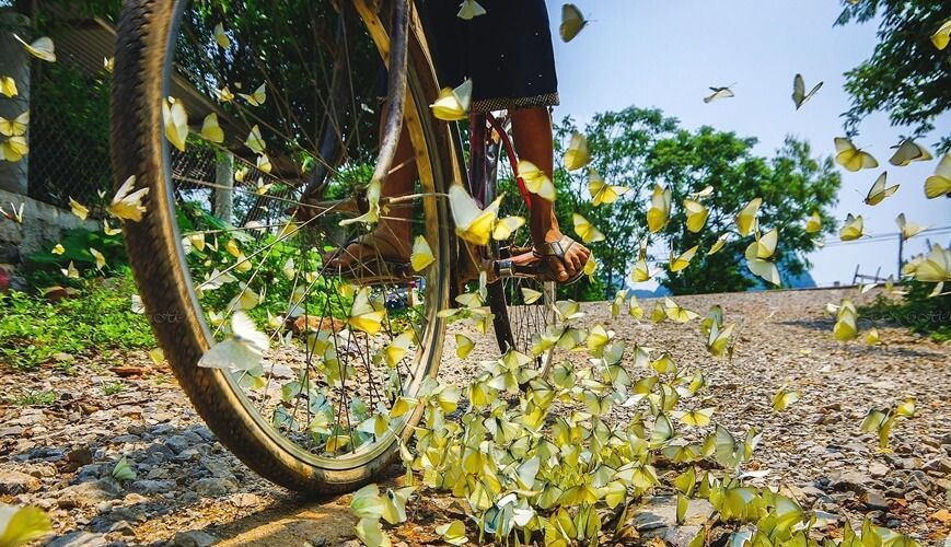 Tropical Adventure 10 Days