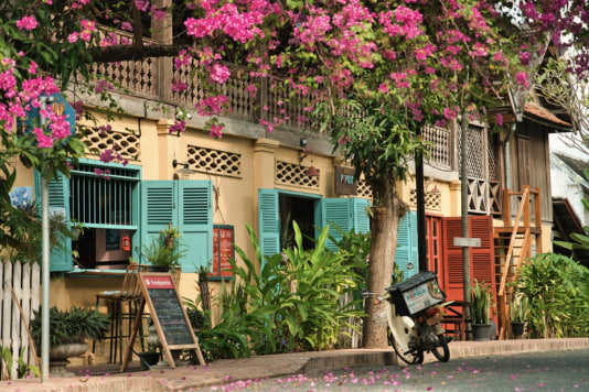 Beautiful houses surrounded by flowers in Prabang.
