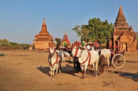 The horses and scouts will be available there then the journey starts