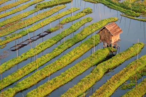 Inle Lake is not only known for its natural beauty but also for its unique way of life