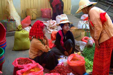 Immerse yourself in a fascinating study of elephants as experienced guides from Asia Private Travels