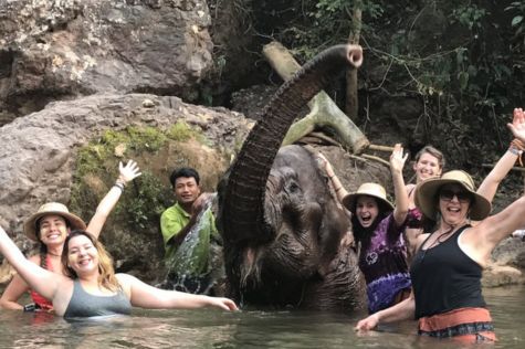 To continue our Myanmar Vacation, you will have a tasty lunch at Green Hill Elephant Camp.