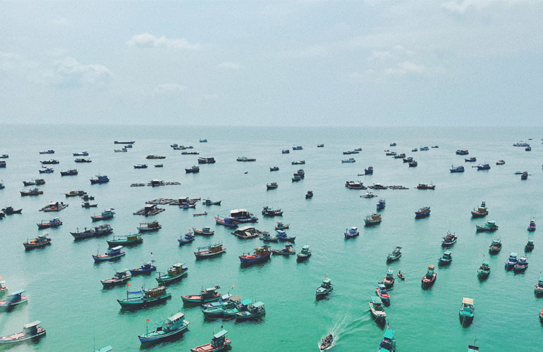 Phu Quoc with hundreds of boats