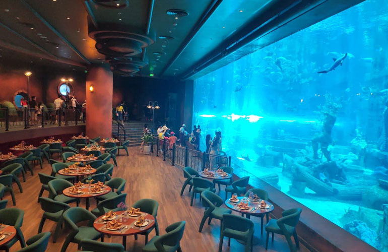 Having meal in the restaurant 