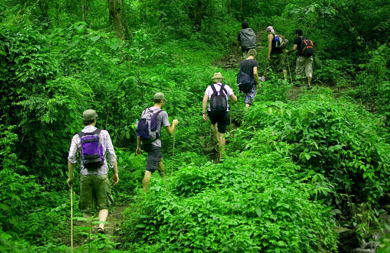 Trekking in Phu Quoc national park