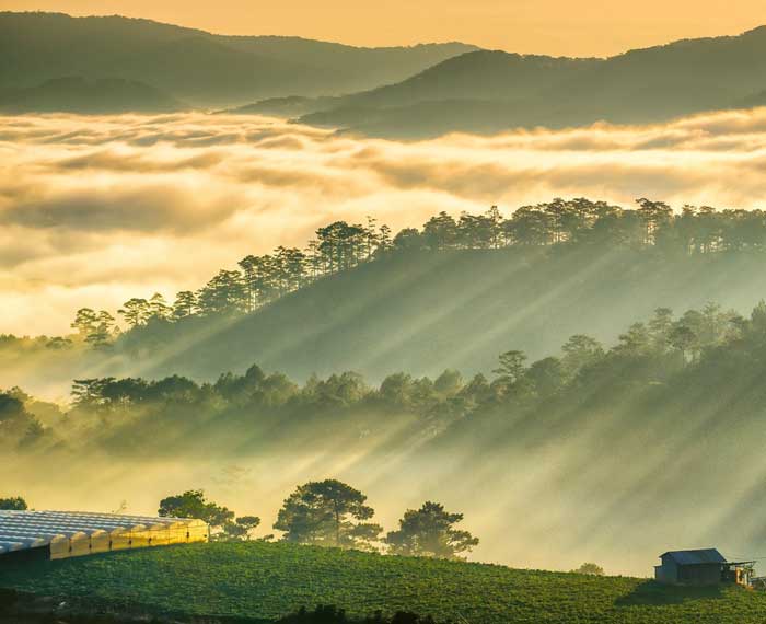 Things to do in Dalat